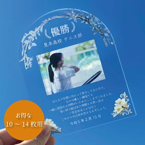写真入り 卒団・卒業記念プレート アーチ型:シルバー 【10〜14枚】 スポーツメモリアル 記念 卒部 卒団 部活 卒団記念品 フォトフレーム 写真立て 送別会 野球 サッカー 卒団式 運動部 文化