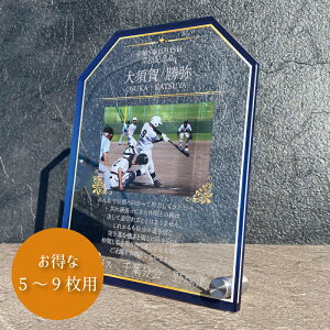 ʐ^ cEƋLOv[g:u[ 傫TCYy5`9zX|[cA LO  c  cLOi tHgt[ ʐ^  ʉ 싅 TbJ[ c ^ 