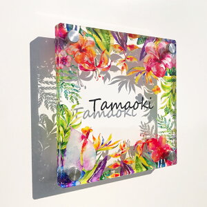 yAN\D/gsJt[z Vz ˌ Vzj zj JXj JƏj v[g Ŕ ANŔ fUC ][g nC El { AN \D l[v