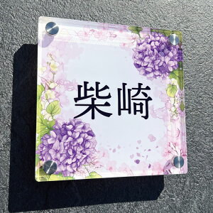 yAN\D/zԁz Vz ˌ Vzj zj JXj JƏj Ŕ ANŔ fUC AWTC   t[  p[v `[t CXg CeA El 