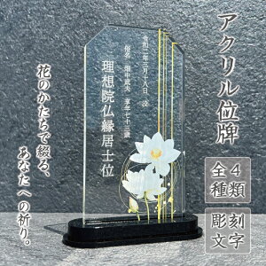 yʔv / @ zʔv    z  _ RpNg ~j  _ʔv hʔv ʕ tO    hʔv d d  d 茳{ Y 