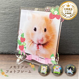 yAtHgt[`i`` S4z  ˂  L  L nX^[ n  ybg A AObY ObY ʐ^   蕨 킢 I