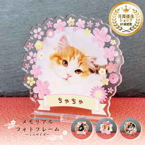 yAtHgt[`a`S4/~jTCYzt[  L  L nX^[ n  ybg A AObY ObY ʐ^   蕨 킢 I[