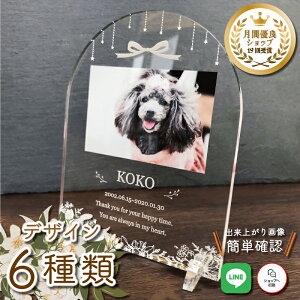 ybg A tHgv[g y܂Ƃԁz  L  L ybg AObY ObY ʐ^ @@@   蕨 킢 I[_[Ch IWi e 