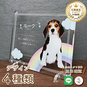 ybg tHgv[g y̋z  L  L ybg A AObY ObY ʐ^   蕨 ybgObY 킢 I[_[Ch IWi e  