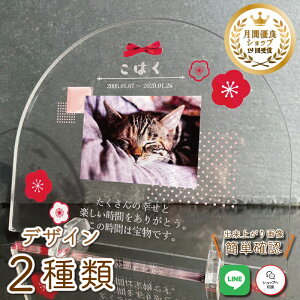 ybg A tHgv[g y~z  L  L ybg AObY ObY ʐ^   蕨 킢 I[_[Ch IWi e  ʔv ybg{ 