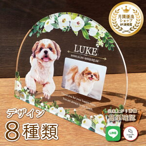 ybg tHgv[gy{^jJt[z 傫TCY  L  L ybg A ObY ʐ^   蕨 ybgObY 킢  Ђ܂ I[_[Ch I