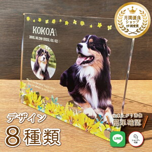 ybg tHgv[gyX}CCG[z 傫TCY  L  L ybg A ObY ʐ^   蕨 ybgObY 킢  Ђ܂ I[_[Ch I