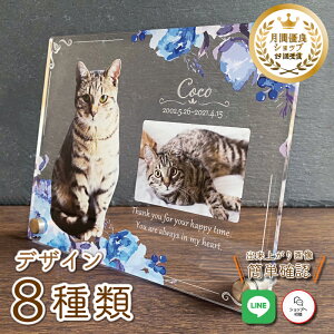 ybg tHgv[gyu[wuz 傫TCY  L  L ybg A ObY ʐ^   蕨 ybgObY 킢  Ђ܂ I[_[Ch IWi