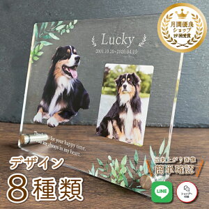 ybg tHgv[gy[tz 傫TCY  L  L ybg A ObY ʐ^   蕨 ybgObY 킢  Ђ܂ I[_[Ch IWi 