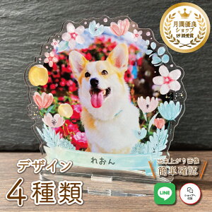 yAtHgt[`t[2` S4/~jTCYzt[  L  L ybg A 茳{ ObY ʐ^   蕨 킢 I[_[Ch IWi