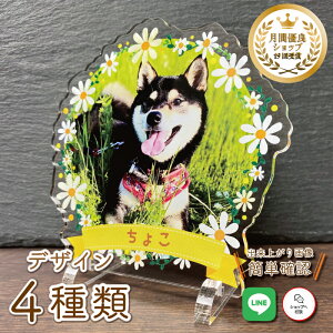 yAtHgt[`t[2` S4 zt[  L  L ybg A 茳{ ObY ʐ^   蕨 킢 I[_[Ch  v[g I