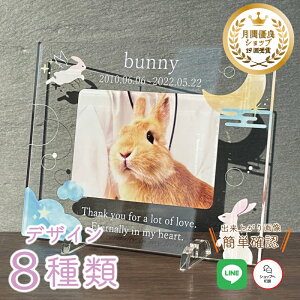 ybg A tHgv[g yETM̓Vgz  L  L ybg AObY ObY ʐ^   蕨 킢 I[_[Ch IWi e  ʔv y