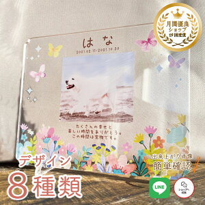 ybg A tHgv[g y傤̂Ԕz  L  L ybg AObY ObY ʐ^   蕨 킢 I[_[Ch IWi e  