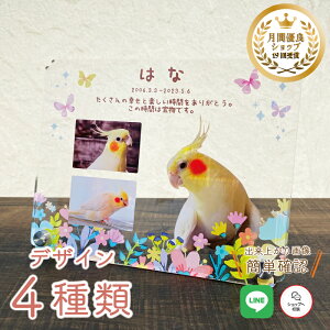 ybg tHgv[gy傤̂Ԕz 傫TCY  L  L ybg A AObY ObY ʐ^   蕨 ybgObY 킢 I[_[