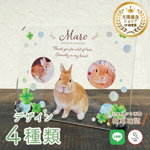 ybg tHgv[gy΁z 傫TCY  L  L ybg A AObY ObY ʐ^   蕨 ybgObY 킢 I[_[Ch IWi