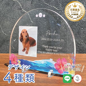 ybg tHgv[g y}z  L  L ybg A AObY ObY ʐ^   蕨 ybgObY 킢 I[_[Ch IWi e  