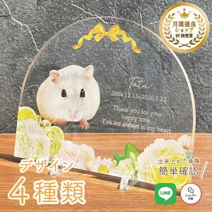 ybg A tHgv[g yl[h[Yz  L  L ybg AObY ObY ʐ^   蕨 킢 I[_[Ch IWi e  