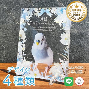 ybg A tHgv[g yEB^[u[Pz  L  L ybg AObY ObY ʐ^   蕨 킢 I[_[Ch IWi e  
