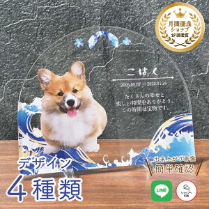 ybg A tHgv[g yCz  L  L ybg AObY ObY ʐ^   蕨 킢 I[_[Ch IWi e  ʔv ybg{ L