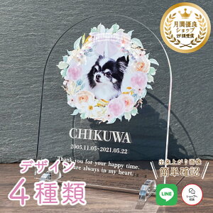 A tHgv[g Xg[yڂ񃊁[Xz  L  L ybg AObY ObY ʐ^   蕨 킢 I[_[Ch IWi e  ʔv 