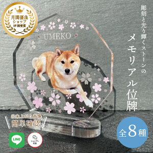 ybg Aʔv yz  L  L ybg AObY ObY ʐ^   蕨 킢 I[_[Ch IWi e  ʔv ybg{ LO LOi 