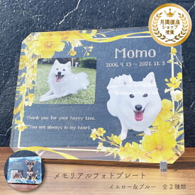 ペット フォトプレート イエロー＆ブルー 全2種類 犬 猫 愛犬 愛猫 ペット メモリアル メモリアルグッズ グッズ 写真 お悔やみ お悔み 贈り物 ペットグッズ かわいい オーダーメイド オリジナル 遺影 仏具 位牌 ペット供養 記念 記念品 ペットロス 写真立て 文字入り フォト