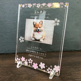 ペット メモリアル フォトプレート 【桜】 犬 猫 愛犬 愛猫 ペット メモリアルグッズ グッズ 写真 かわいい オーダーメイド オリジナル 遺影 仏具 位牌 ペット供養 記念 記念品 誕生日 写真立て 写真 文字入り フォト 思い出 アクリルスタンド 手元供養