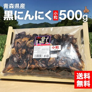 ɂɂ XY  500g ct@[ n n iꕔnj 󂠂 I