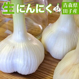 青森県産 生にんにく 田子町産 新物 Lサイズ 1kg たっこにんにく 国産 沢田ファーム 掘りたて 田子にんにく