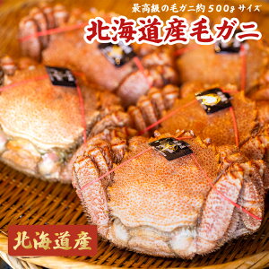 yyVubNtCf[|Cg5{Izō̖kCYуKj ъIyzeʁF500gJj kC {̍K ₨ΕAɂ