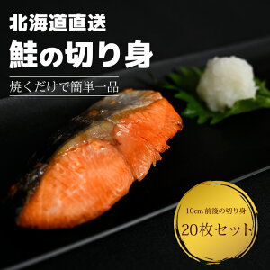 VP̐؂g@20Zbg110cmO̐H׉\ȍ̐؂g20ZbgI