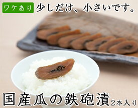 【ワケあり】【国産】千葉県産瓜の鉄砲漬2本入り 漬物 醤油漬け 製造元直送