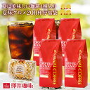 【澤井珈琲】送料無料 夏味バージョンにパワーアップ!!ドカンと詰ったコーヒー福袋(コーヒー/コーヒー豆/珈琲豆/夏味グルメ)