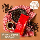 15日限定クーポン＆ポイントUP！ 焙煎したて コーヒー豆 コーヒー粉 コーヒー 珈琲 珈琲豆 お試し粉 豆 グァテマラSHB Guatemala SHB 500g袋 単品珈琲豆 【RDT】 【TSDT】