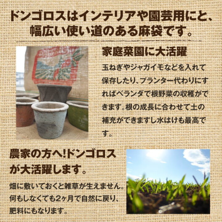 楽天市場 コーヒー豆 麻袋 送料無料 ガーデニング 珈琲豆 澤井珈琲 生豆が入っていた麻袋 ドンゴロス 10枚セット 同梱不可 巾着 収穫袋 農業資材 園芸用品 農業用品 インテリア プランター 花 ガーデン Diy キャンプ アウトドア 業務用 大きい 澤井珈琲beans Leaf
