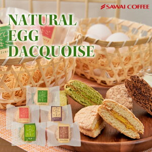 澤井珈琲 ふんわりサクサク♪ しぜんのたまご ブッセ 1個 プラリネ 抹茶 チョコレート ストロベリー マロン ダックワーズ お菓子 焼菓子 スイーツ プチギフト お返し 澤井スイーツ 冷凍便同