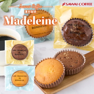 素朴な美味しさがちょうどいい マドレーヌ 1個 単品 チョコ プレーン お菓子 洋菓子 スイーツ 澤井珈琲 プチギフト プレゼント シンプル バター しっとり ふわふわ 女性 コーヒーに合う コー