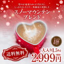全品ポイント19倍!! 最大2,500円クーポン 【澤井珈琲】送料無料 コーヒー専門店の150杯分入りスノーマウンテンブレンド コーヒー福袋(レギュラー/コーヒ...