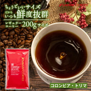 サスティナブルなコーヒー SDGs コーヒー豆 コーヒー粉 1000円ポッキリ 送料無料 メール便 澤井珈琲 少量お試し 【飲みきりサイズ レギュラーコーヒー コロンビア・トリマ】 約20杯 1000円プレ