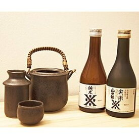 日本酒 ギフト プレゼント 燗酒ことはじめセット300ml×2本セット＆燗徳利セット 送料無料