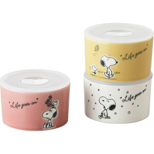 Xk[s[ V[Y gIWZbg SN610]82]S3 y_