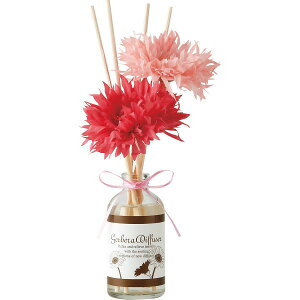 K[xfBt[U[ sIj[sN 665891 y_