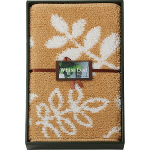 zCg[t oX}bg x[W 094851BE y_