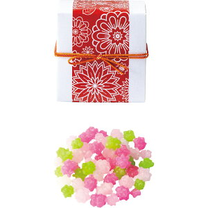 ̉ 1 1249 ؂Ƃ a َq v`Mtg y_