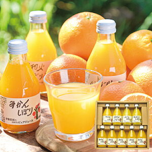 ɓ_ ʏ`100% sAW[X 9{ݔ׃Zbg 50709gs y_