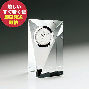 OX[NXi~ vY NbNM GW1000]11009 () (kCE)y_