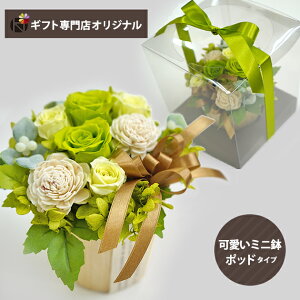 vU[uht[ AWg |bh O[EzCg () (kCE) y_ HAREPB_