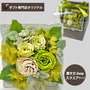 vU[uht[ AWg XNGA O[EzCg () (kCE) y_ HAREPB_