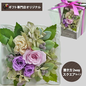 vU[uht[ AWg XNGA sNEp[v () (kCE) y_ HAREPB_